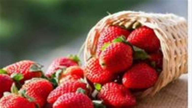 مصر تتصدر تصدير الفراولة المجمدة للصين