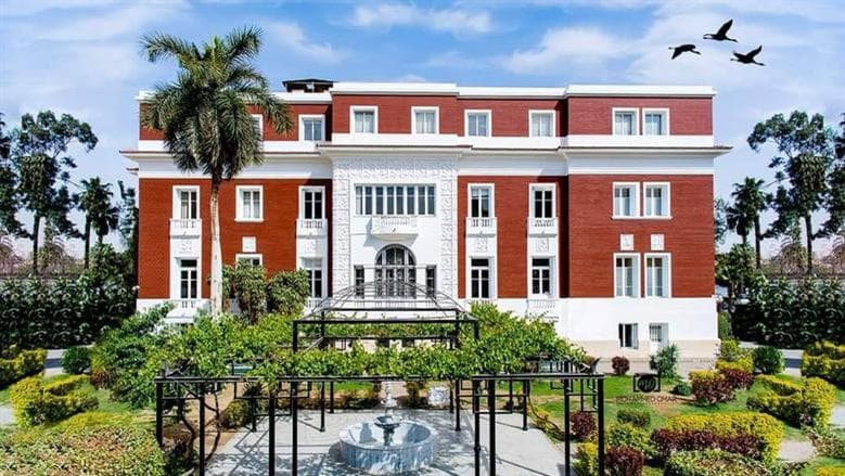 Egypt Libraries August 2026 Highlights