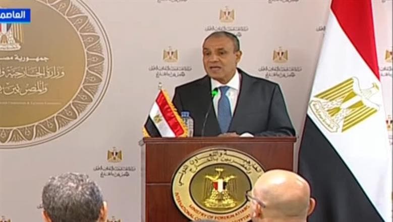 Foreign Minister: Alamein as a strong African investment hub