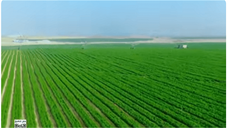 Expert: Agriculture Strategy 2030 targets resource development