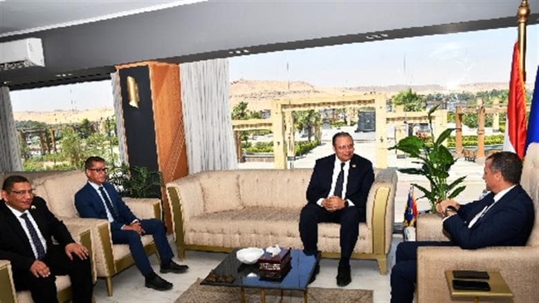 Aswan Gov Meets Health Official on Village Hospitals