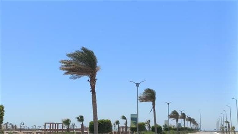 Agricultural forecast cites weather fluctuations