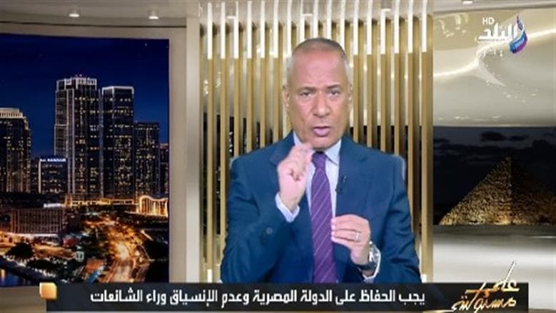 Ahmed Musa: Egypt's wheat reserves last 6 months