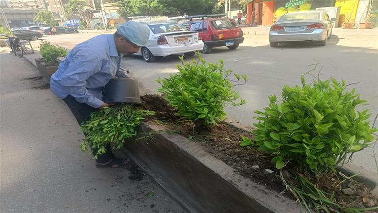 Giza Governorate Enhances Green Areas and Urban Spaces