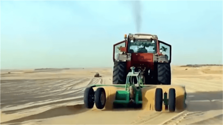 Economics Expert: Sinai Agriculture Boosts Food Security