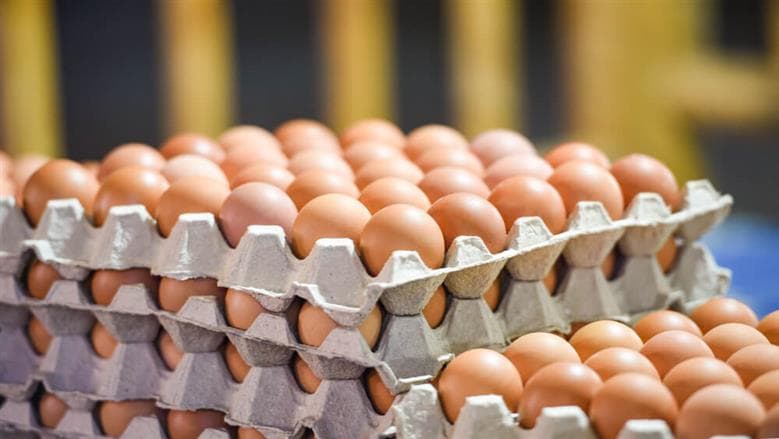 Egg prices today across varieties