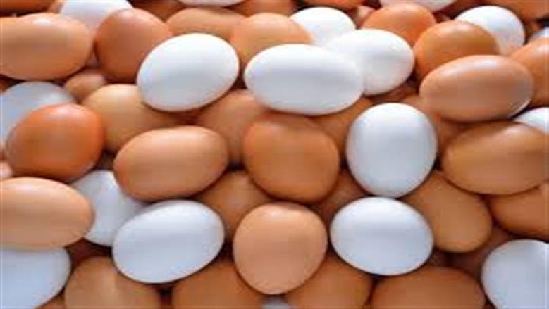 Egg prices today September 26 2026