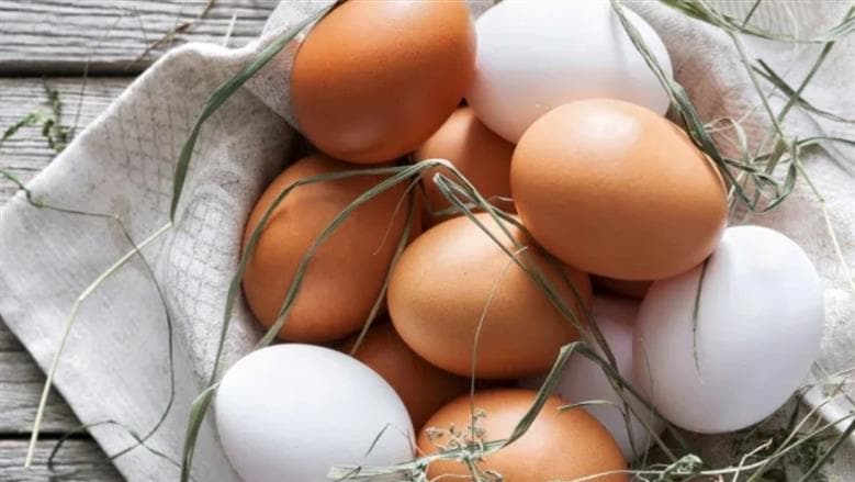 أسعار كرتونة البيض اليوم الأربعاء