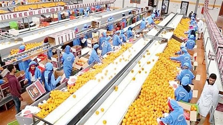 2025 Exports Expected at $51.4B