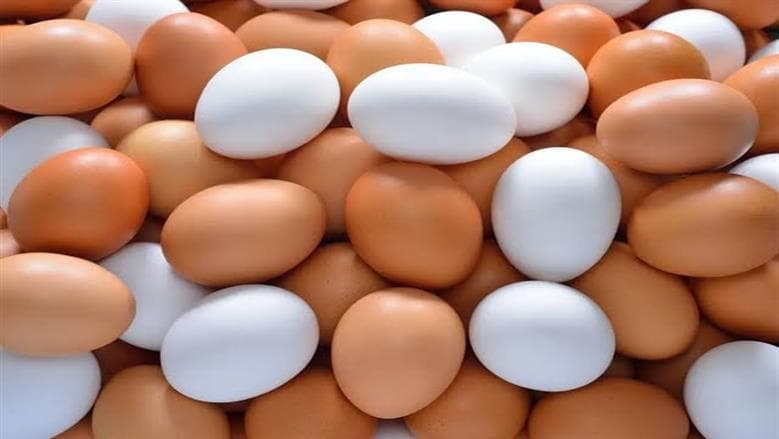 Egg carton prices today September 29