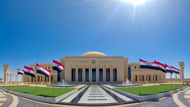 مئة عضو في لجان مجلس النواب
