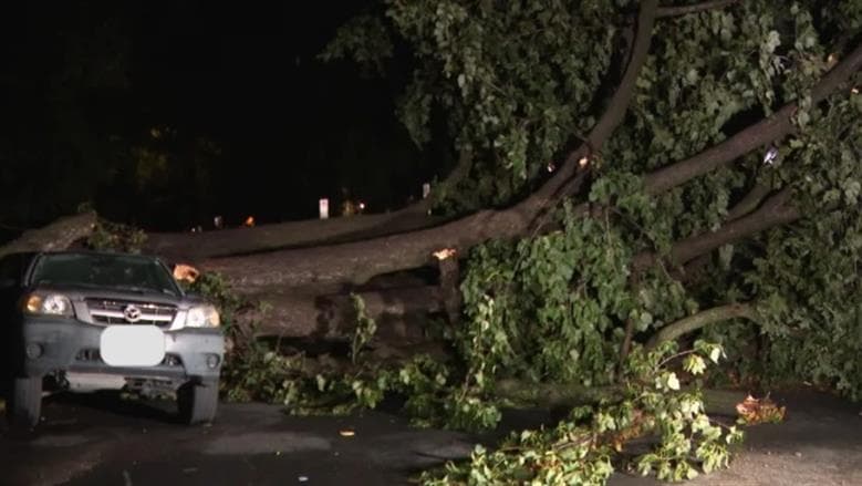 Storms in Washington cause outages and school closures