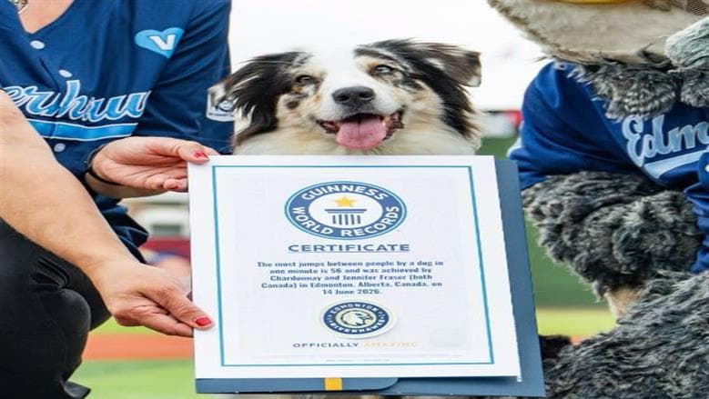 Dog sets record jumping over 56 people