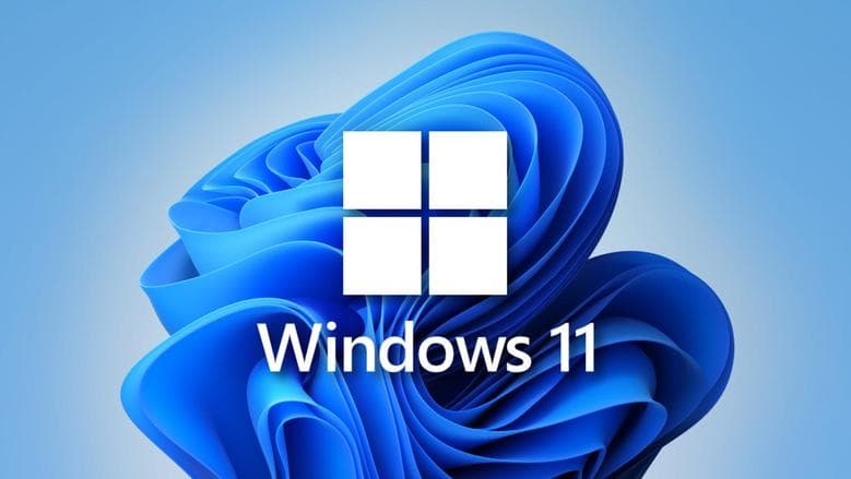 Windows 10 users' options if not supported by Windows 11