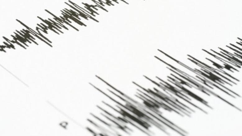 Earthquake of 4.6 hits near Gaziantep