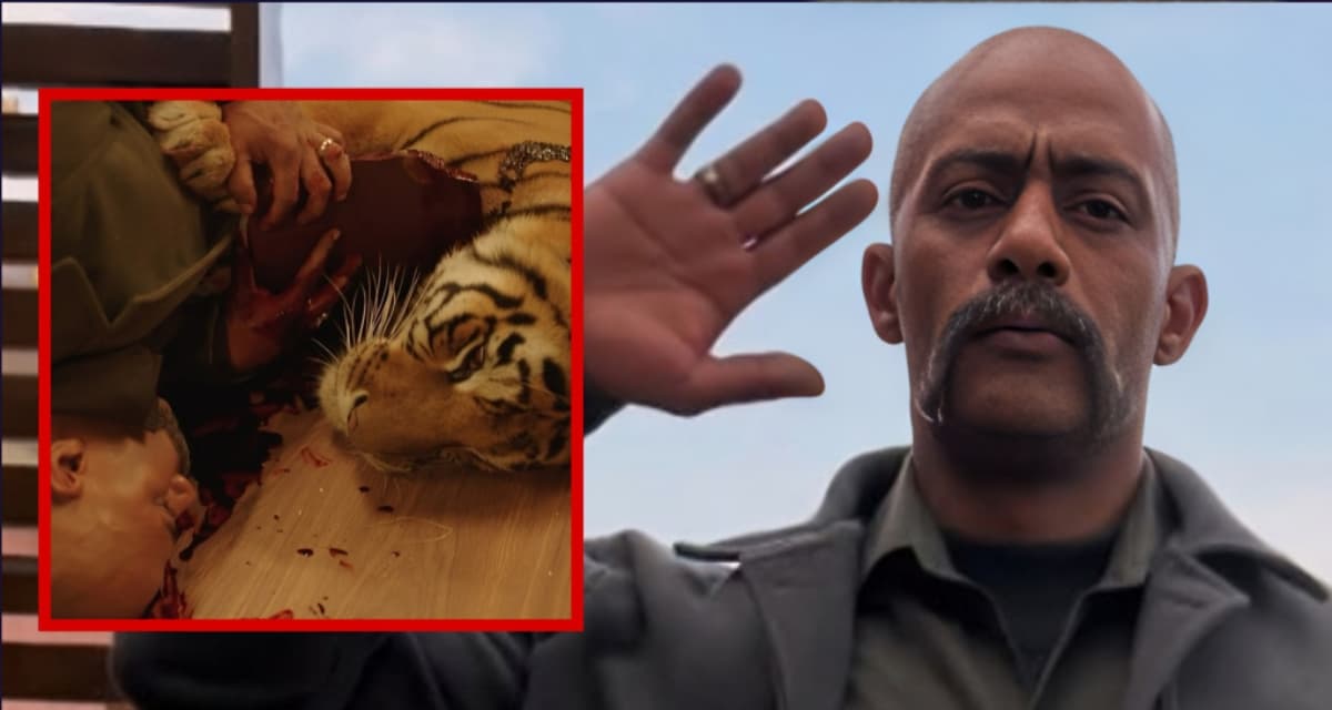 Mohamed Ramadan injured during tiger scene