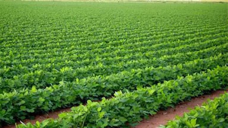 Climate Chief Alerts Farmers on Autumn Weather