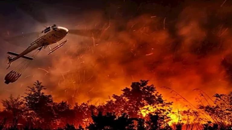 Wildfire has killed 6 in Algeria