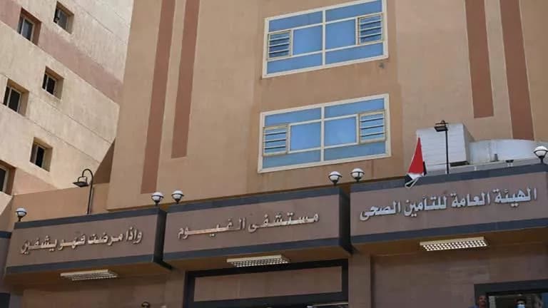 New details on Fayoum twins' fall