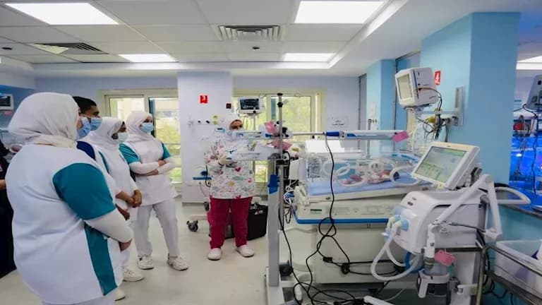 Kafr El Sheikh Nursing School Applications Open