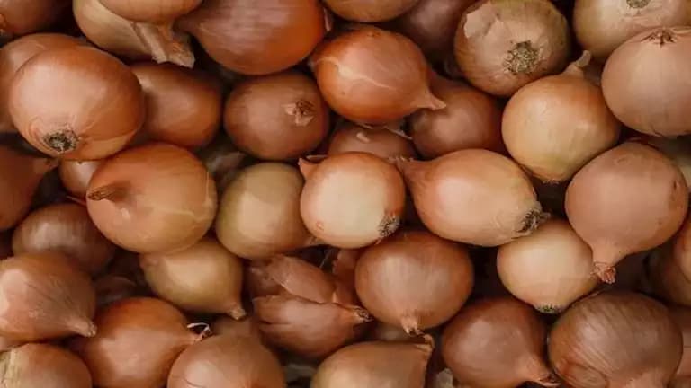 Yasmine Ezz on rising onion prices