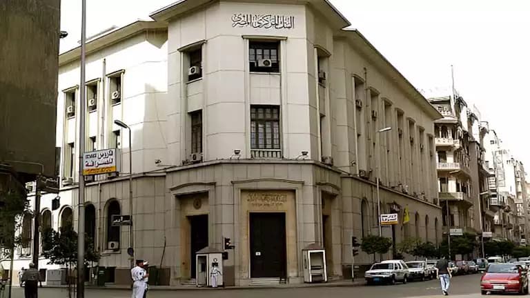 Egyptian remittances rise to $29.7B