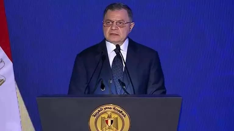 الداخلية تقر تجنيس 42 مصريا بجنسيات أجنبية
