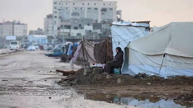 Egyptian Committee Prepares for Gaza Winter