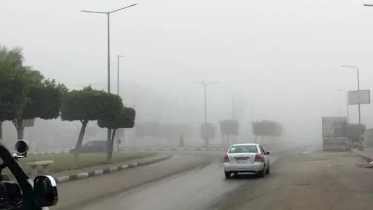 Weather forecast for the next five days