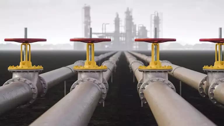 Petroleum spokesman on oil discoveries and fuel prices