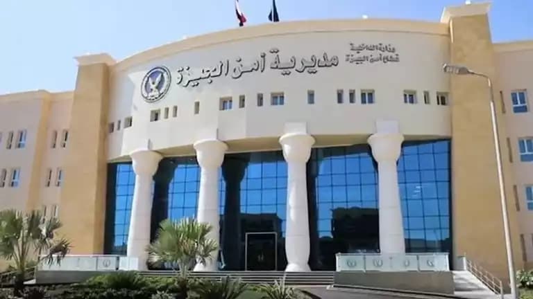 حقيقة فيديو إخوة في الجيزة