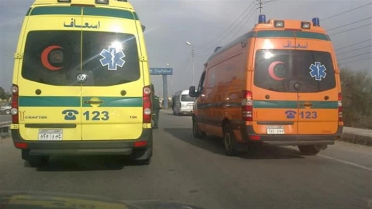 Aswan Transport Accident Causes Casualty
