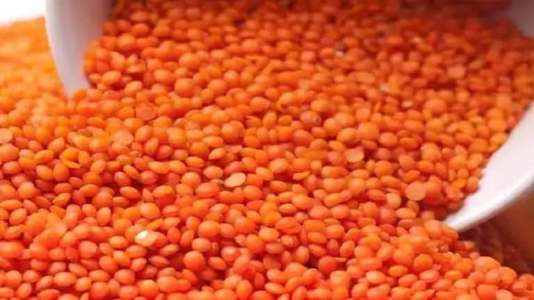 Lentil Prices Rise by 1,500 Pounds per Ton