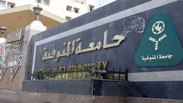 Menofia University Reacts to Nurse Incident