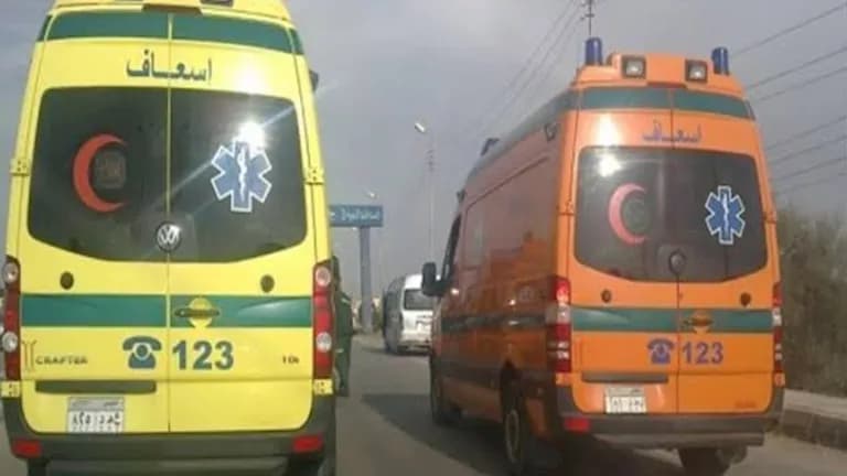 Five Hurt in Qalyubia Road Crash