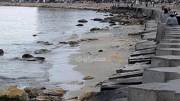 Alexandria's Sea Water Decline Causes