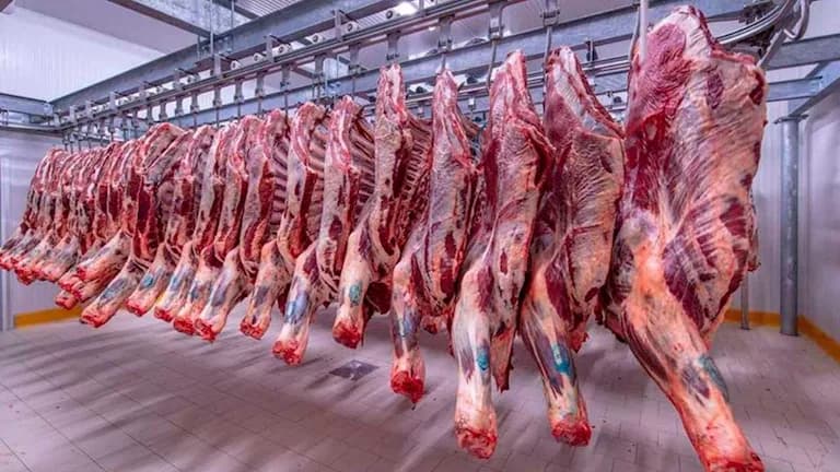 Egypt's position in meat consumption list