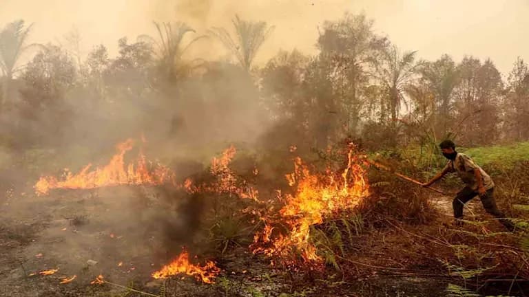 Indonesia wildfire devastates communities