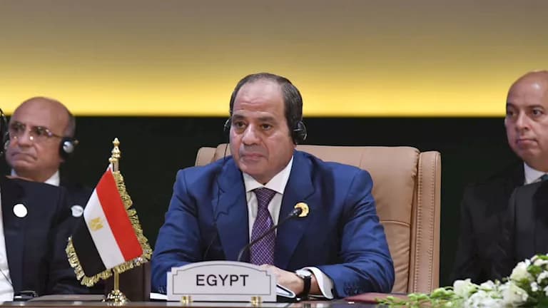Sisi questions Hassan Allam on monitoring
