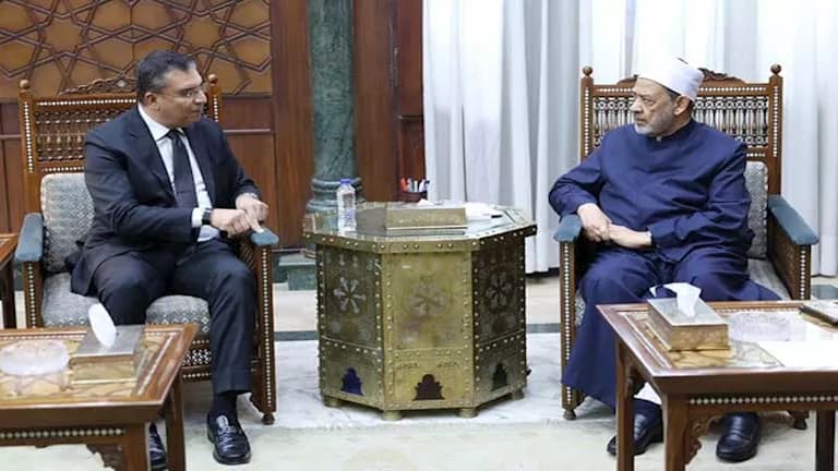 Al-Azhar Sheikh: Media vital for awareness