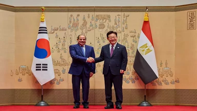 Sisi's South Korea visit video released