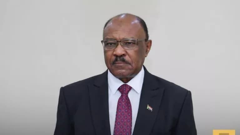 Sudanese FM Denies Drone Attacks on Chad