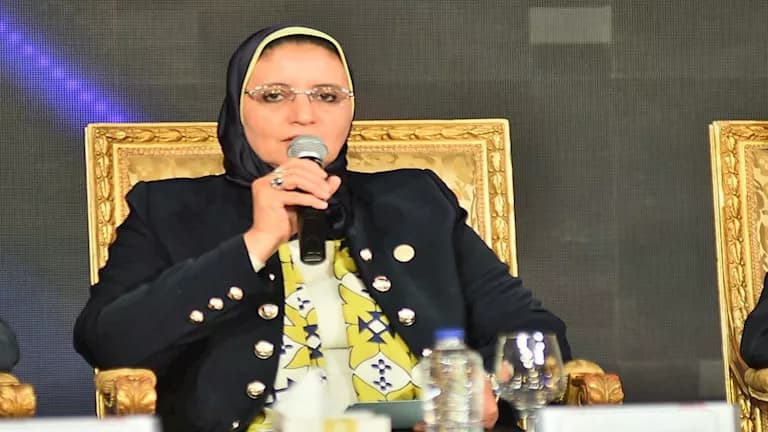 Egypt Electricity Authority Leadership Overhaul