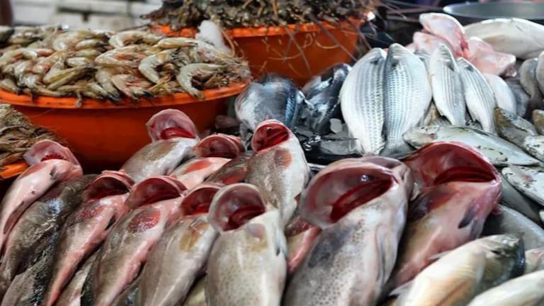 Fish and seafood prices at Souk Al-Obour Saturday