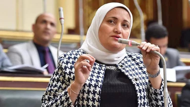 البرلمان يرد على سناء السعيد حول إقرارات الذمة