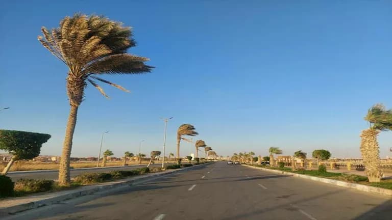توقعات انكسار الموجة الحرارية وإجازة المولد