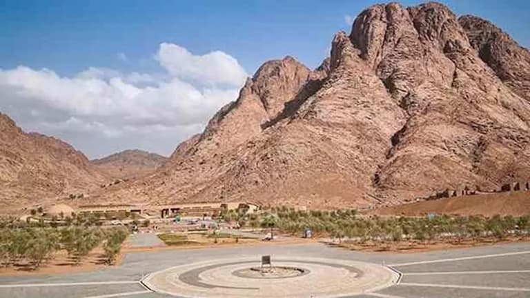 Jebel Al-Tsfasfa's Unique Tree