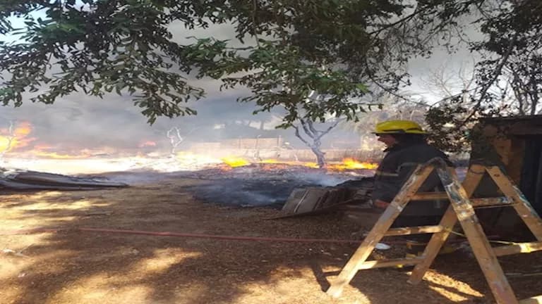 Fire at wood storage in Shubra