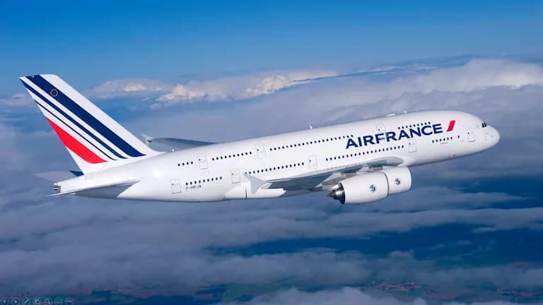 France halts flights to Riyadh Dubai