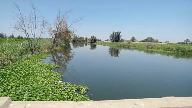 لجنة فنية تدرس ارتفاع مياه المصارف بكفر الشيخ
